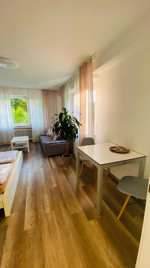 זולינגן Ferienwohnung Koko מראה חיצוני תמונה