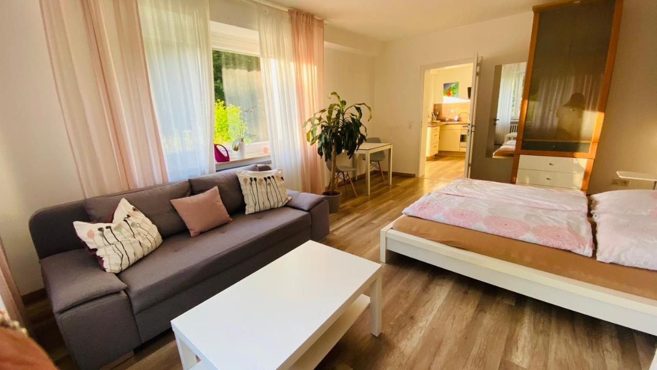 זולינגן Ferienwohnung Koko מראה חיצוני תמונה